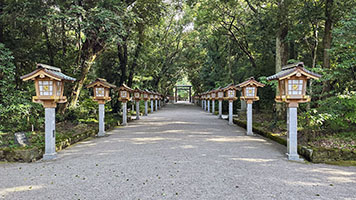 Il viale d'accesso al tempio shintoista di Miyazaki Jingu