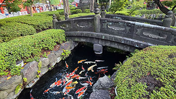Carpe nel laghetto del complesso del tempio Sensō-ji