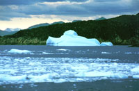 Iceberg