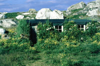 Vecchia casa di Nanortalik