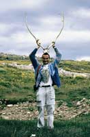 Corna di caribou