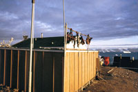 Casa di Qaanaaq