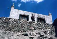 Lama presso il gompa di Basgo