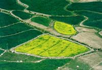 Campi di lenticchie e d'orzo verso il Chang La