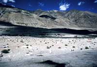 Montagne lungo la sponda del lago di Pangong