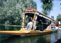Shikara sul lago di Srinagar