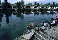Le House Boat sul Lago