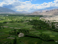 La verde valle di Leh (in estate)