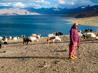 Pastora presso il lago di Tso Moriri