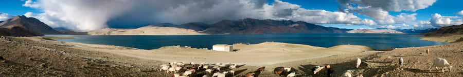 Panoramica a 180° sul lago di Tso Moriri nei pressi di Yarlung Marlung