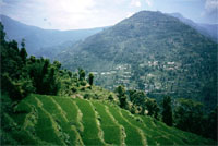 Strada per Pelling, paesaggio