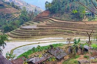 Le risaie di Hoang Su Phi nel villaggio di Thong Nguyen, provincia di Ha Giang
