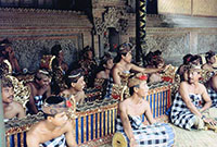 Musici