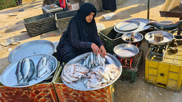 Pescivendola nel Suq di Bassora
