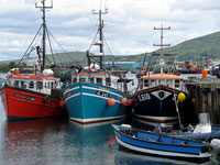 Barche da pesca