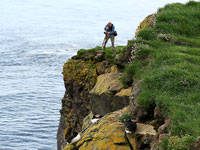 Naturalista a Latrabjarg