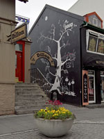 Facciata in centro a Reykjavik