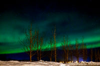 Aurora polare nei pressi di Borgarnes