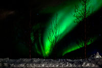 Aurora polare nei pressi di Borgarnes