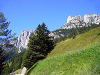 Strada verso il Rif. Gardeccia
