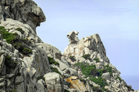 Rocce della Valle della Luna a Capo Testa