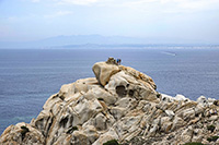Davide sul belvedere di Capo Testa
