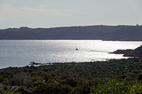 Cala Ferrigno, isola di Spargi