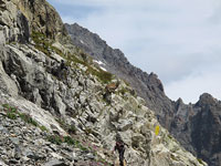 Il sentiero verso il Gonella con stambecco