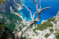 Vista dall'alto su cala Goloritzè 3