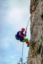 Francesco in doppia 2