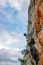 Francesco in doppia 1