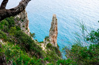Guglia lungo la costa del bue marino