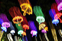 Ombrelli luminosi sulla Beybitshilik Avenue a Shymkent