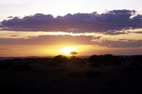 Tramonto al Masai Mara
