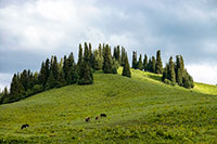 Collinetta nei pressi del Campo Base di Karkara
