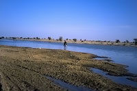 Piste lungo il fiume Niger