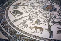 Mosaico a Volubilis