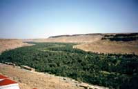 Lungo l'Oued Ziz