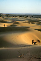 Panorama al tramonto sull'Erg Chebbi