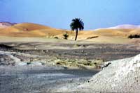 Avvicinandosi all'alba alle dune dell'Erg Chebbi