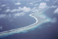 Barriera corallina a Palau