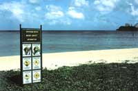 Spiaggia a Guam