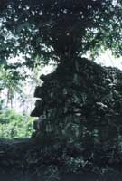 Nan Madol