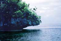 Una tra le centinaia di Rock Islands di Palau