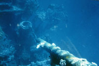Relitti militari giapponesi nella laguna di Truk