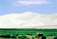 Dune di Khongoryn Els