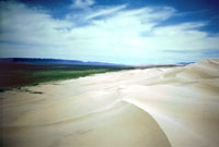 Duna a Khongoryn