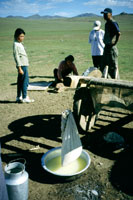 Preparazione del formaggio