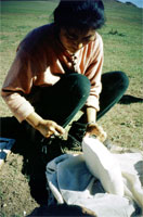 Essiccazione del formaggio