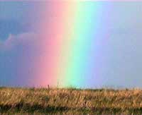 Dettaglio Arcobaleno